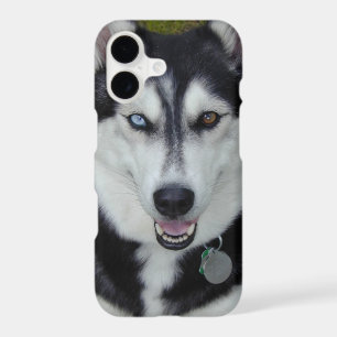 iPhone 7 case Siberian Husky