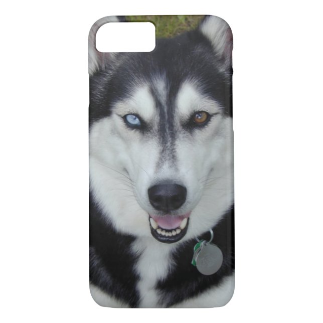iPhone 7 case Siberian Husky (Back)
