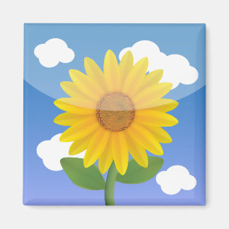 iPhone App Magnets - Photos