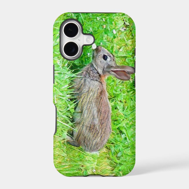 iPhone case (Back)
