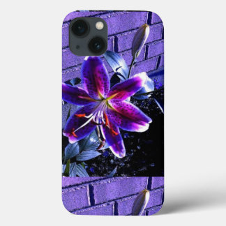 iphone iPhone 13 case