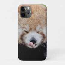 iPhone case Photo giant panda , animals.