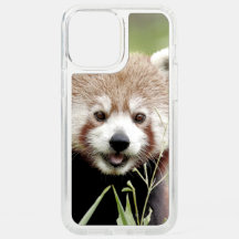iPhone case Photo giant panda , animals.