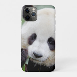 iPhone case Photo giant panda , animals.