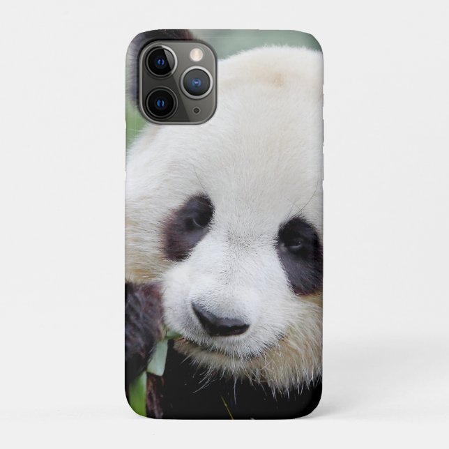 iPhone case Photo giant panda , animals. (Back)