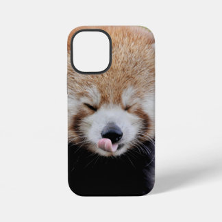 iPhone case Photo giant panda , animals.