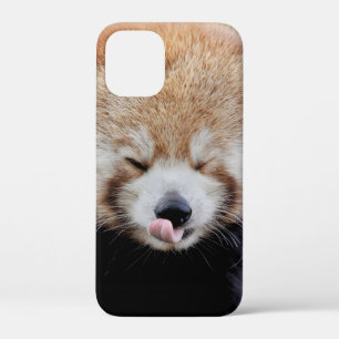 iPhone case Photo giant panda , animals.