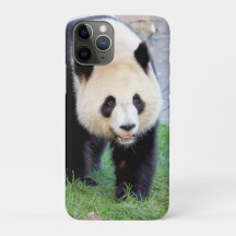 iPhone case Photo giant panda , animals.