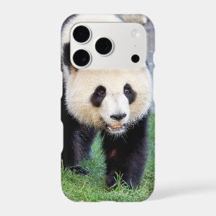 iPhone case Photo giant panda , animals.