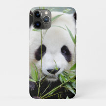 iPhone case Photo giant panda , animals.