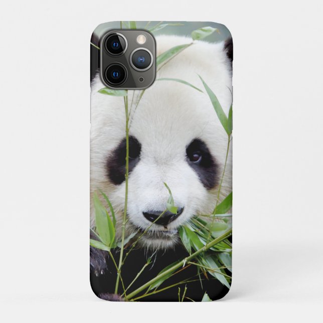 iPhone case Photo giant panda , animals. (Back)
