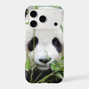 iPhone case Photo giant panda , animals.