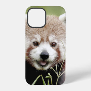 iPhone case Photo giant panda , animals.