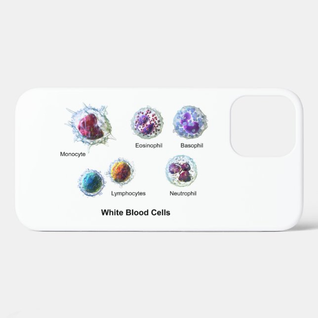 iPhone Case White Blood Cells Leukocytes Diagram  (Back (Horizontal))