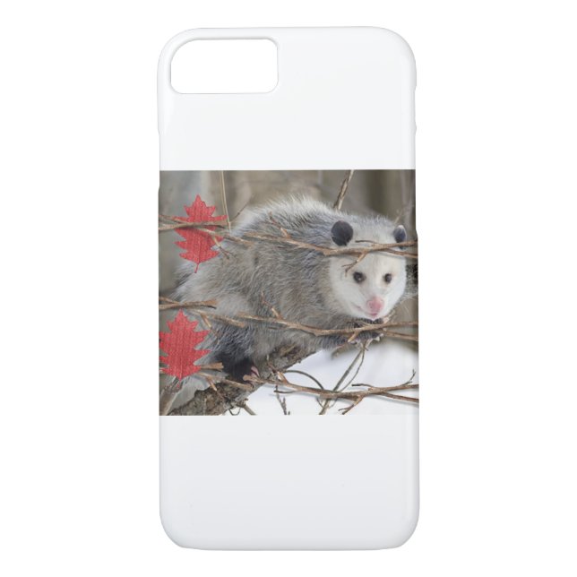 IPhone Cases Opossum Nature (Back)
