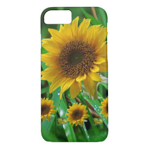 IPhone Cases Sunflowers