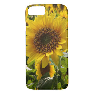 IPhone Cases Sunflowers