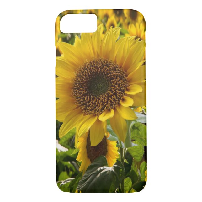 IPhone Cases Sunflowers (Back)