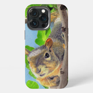 iPhone / iPad case