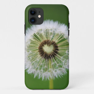 iPhone / iPad case