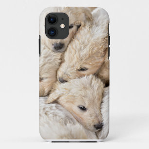iPhone / iPad case
