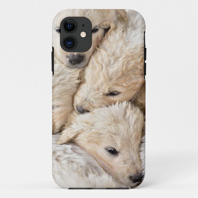 iPhone / iPad case (Back)