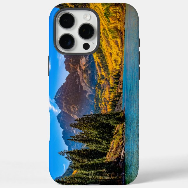 iPhone / iPad case (Back)