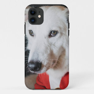 iPhone / iPad case
