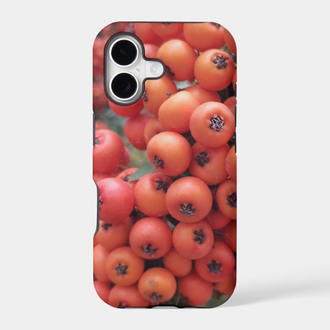 iPhone / iPad case (Back)