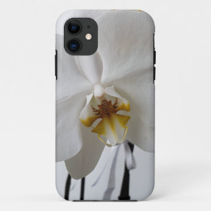 iPhone / iPad case