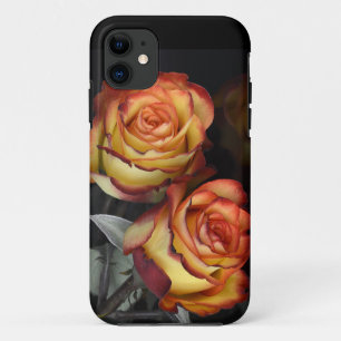 iPhone / iPad case