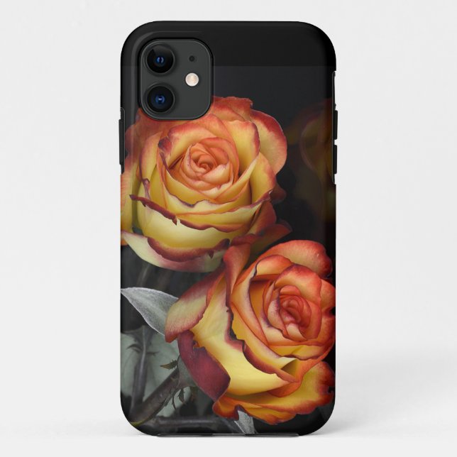 iPhone / iPad case (Back)