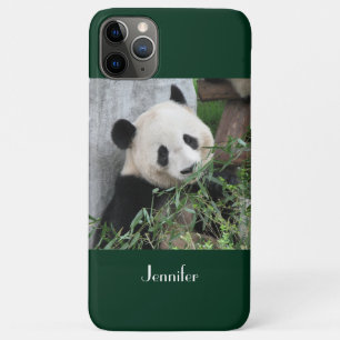 iPhone SE/5/5s Case Giant Panda Green Background