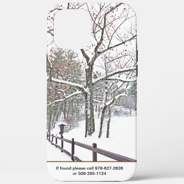 iPhone  X case (10 phone) (Back)
