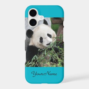 iPhone XR Case Giant Panda Blue