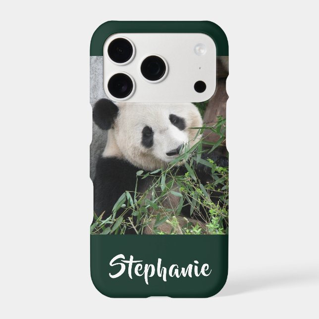 iPhone XS, XS Max, XR Case Panda Choose Colour (Back)
