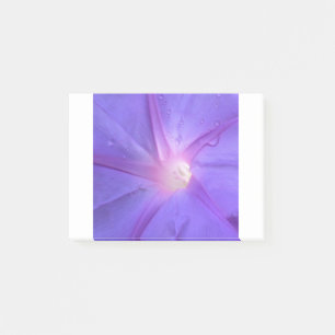 ipomée post-it notes