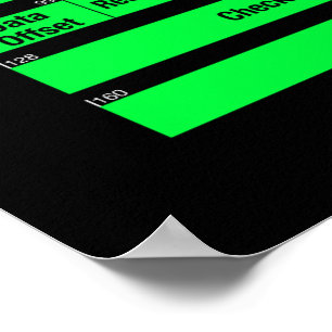 IPv4 and TCP Headers Poster