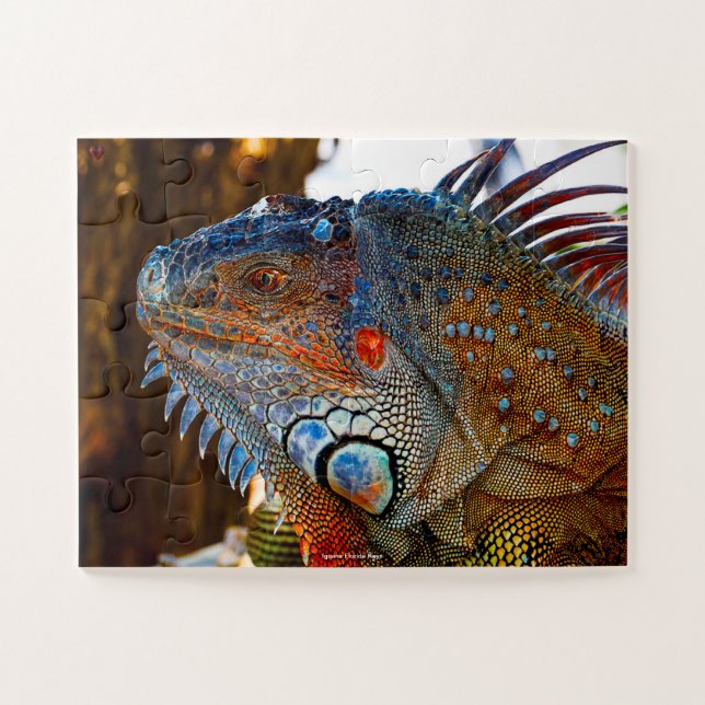 Iquana Florida Keys Jigsaw Puzzle (Horizontal)