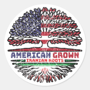 Iran Iranian US American USA United States Tree Classic Round Sticker
