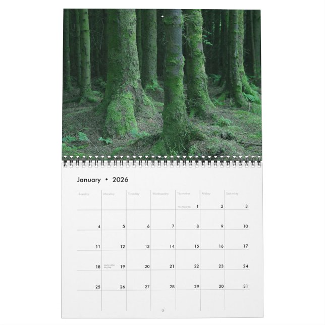 Ireland Calendar (Jan 2026)