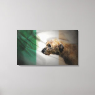 Ireland Canvas Print