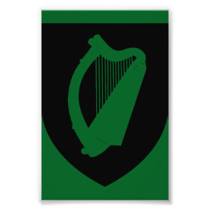 Ireland Coat of arms  Photo Print