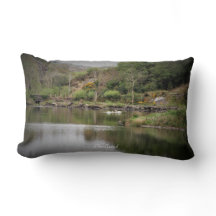 Ireland, County Cork, Lake, Swans, Photography