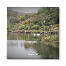 Ireland, County Cork, Lake, Swans, Photography