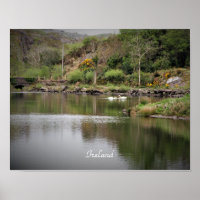 Ireland, County Cork, Lake, Swans, Photography