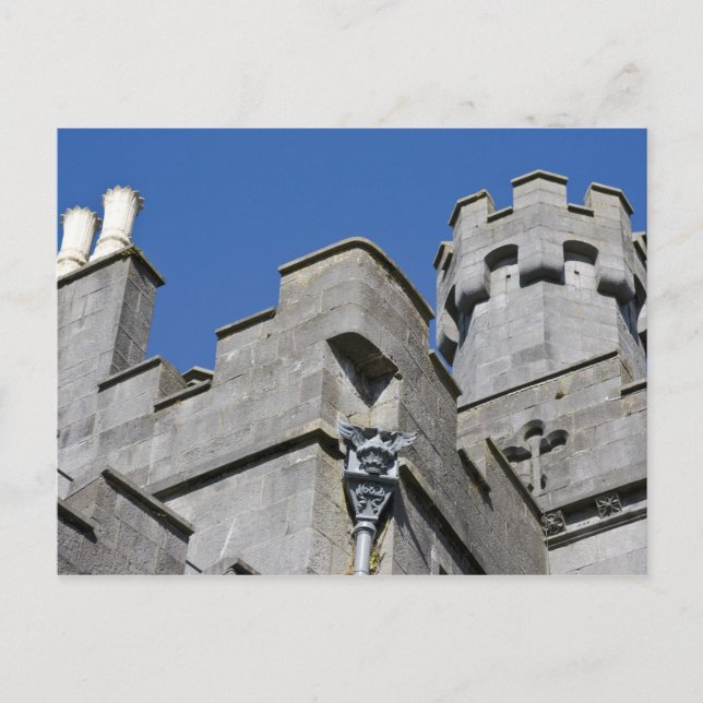 Ireland, County Kilkenny, mediaeval castle. Postcard (Front)