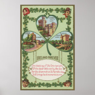 Ireland Forever - Cork and Killarney Castles Poster