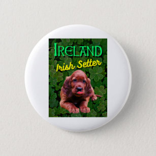 Ireland Irish Setter Clovers Shamrocks 6 Cm Round Badge