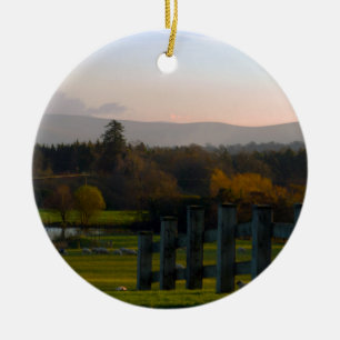 Ireland is Beautiful Ceramic Tree Decoration